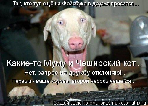 Котоматрица: Так, кто тут ещё на Фейсбуке в друзья просится... Какие-то Муму и Чеширский кот... Нет, запрос на дружбу отклоняю!.. Первый - ваще корова, второй 