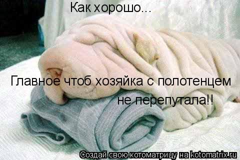 Котоматрица: Как хорошо... Главное чтоб хозяйка с полотенцем не перепутала!!
