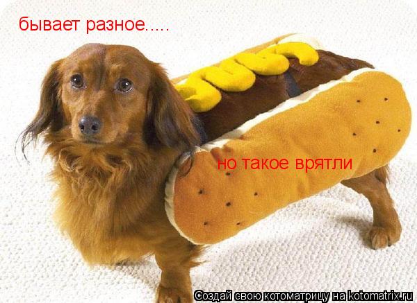 Котоматрица: бывает разное..... но такое врятли