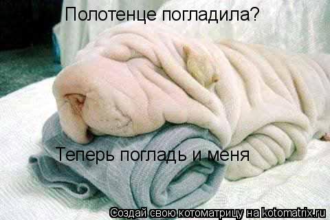 Котоматрица: Полотенце погладила? Теперь погладь и меня