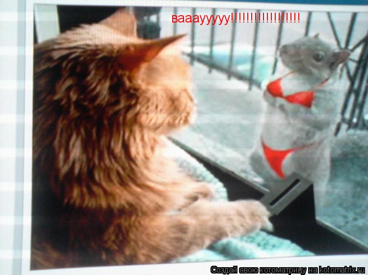 Котоматрица: ваааууууу!!!!!!!!!!!!!!!!!!