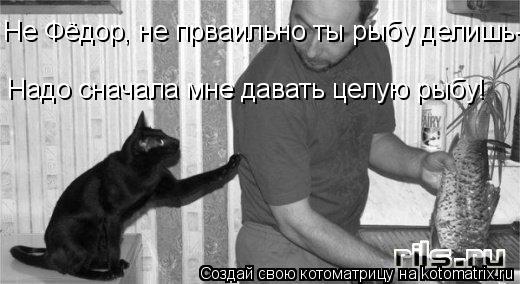 Котоматрица: Не Фёдор, не прваильно ты рыбу делишь- Надо сначала мне давать целую рыбу!