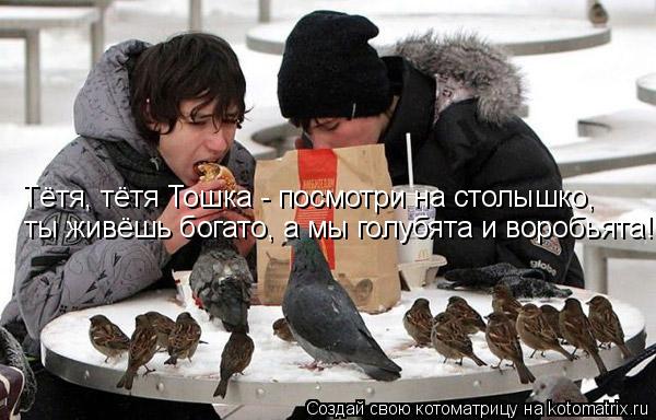 Котоматрица: Тётя, тётя Тошка - посмотри на столышко, ты живёшь богато, а мы голубята и воробьята!