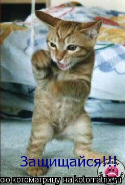 Котоматрица: Защищайся!!!
