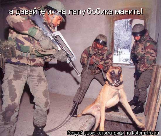 Котоматрица: -а давайте их на лапу бобика манить!