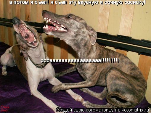 Котоматрица: а потом я съел! я съел эту вкусную и сочную сосиску! оооааааааааааааааааа!!!!!!!!!!