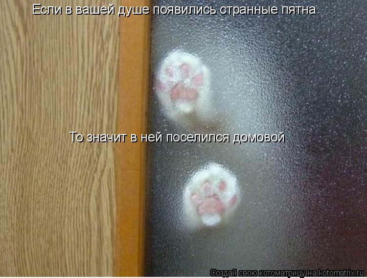 Котоматрица: Если в вашей душе появились странные пятна То значит в ней поселился домовой
