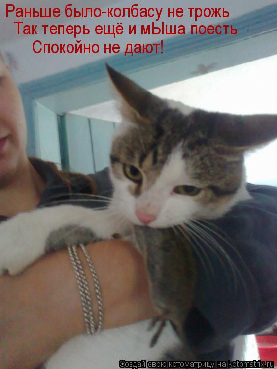Котоматрица: Так теперь ещё и мЫша поесть  Спокойно не дают! Раньше было-колбасу не трожь