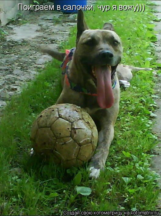 Котоматрица: Поиграем в салочки, чур я вожу)))
