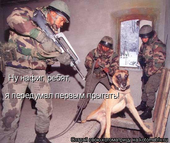 Котоматрица: Ну нафиг, ребят,  я передумал первым прыгать!