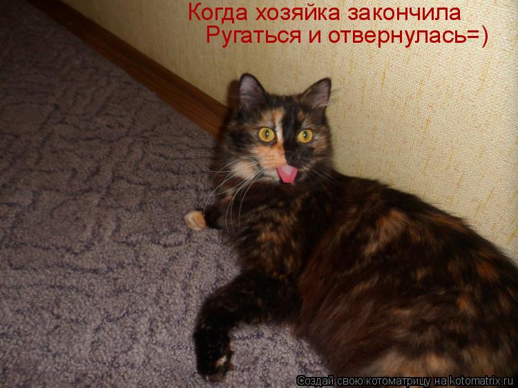 Котоматрица: Когда хозяйка закончила Ругаться и отвернулась=)