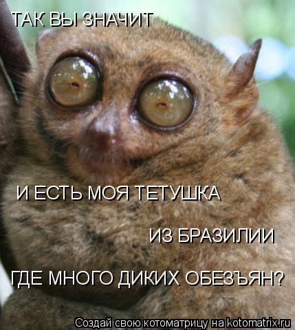 Котоматрица: ТАК ВЫ ЗНАЧИТ И ЕСТЬ МОЯ ТЕТУШКА ИЗ БРАЗИЛИИ ГДЕ МНОГО ДИКИХ ОБЕЗЪЯН?
