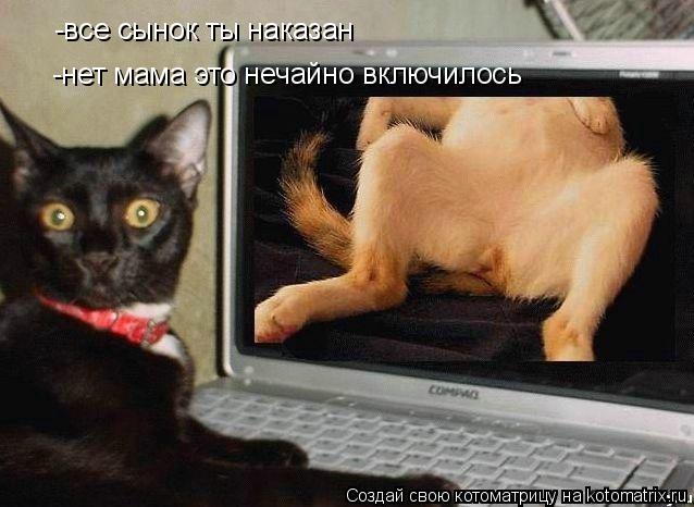 Котоматрица: -все сынок ты наказан -нет мама это нечайно включилось