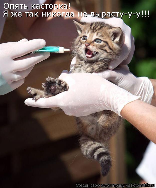 Котоматрица: Опять касторка! Я же так никогда не вырасту-у-у!!!