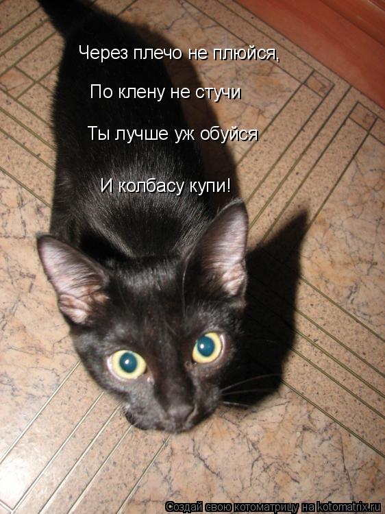 Котоматрица: Через плечо не плюйся, И колбасу купи! Ты лучше уж обуйся  По клену не стучи