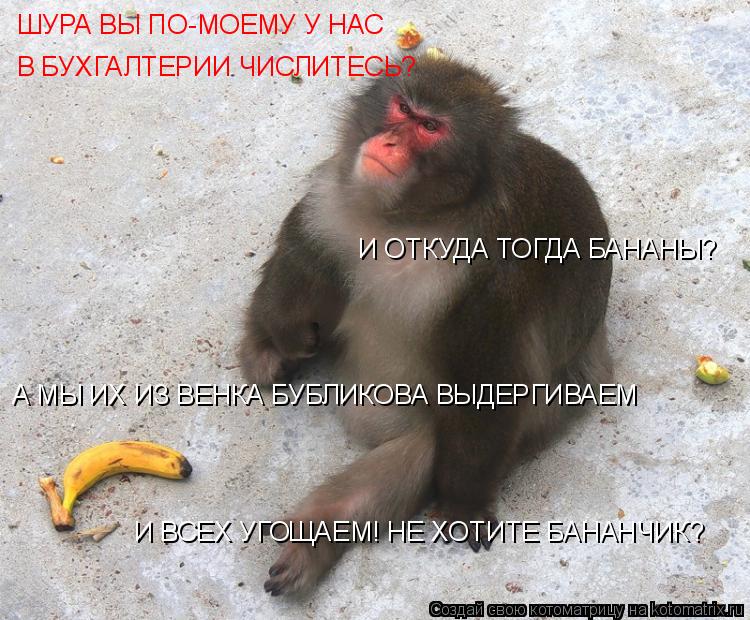 Котоматрица: ШУРА ВЫ ПО-МОЕМУ У НАС  В БУХГАЛТЕРИИ ЧИСЛИТЕСЬ?  И ОТКУДА ТОГДА БАНАНЫ? А МЫ ИХ ИЗ ВЕНКА БУБЛИКОВА ВЫДЕРГИВАЕМ И ВСЕХ УГОЩАЕМ! НЕ ХОТИТЕ БАНА