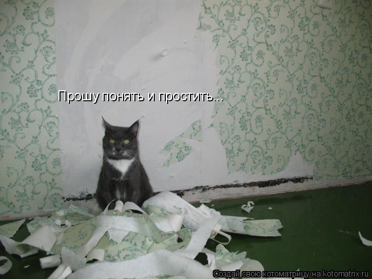 Котоматрица: Прошу понять и простить...