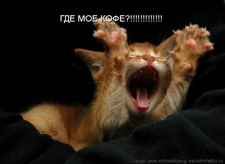 Котоматрица: ГДЕ МОЕ КОФЕ?!!!!!!!!!!!!!