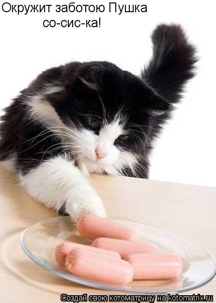 Котоматрица: Окружит заботою Пушка со-сис-ка!