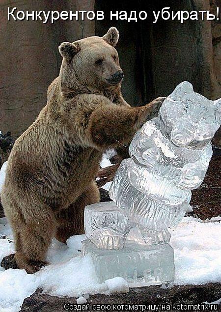 Котоматрица: Конкурентов надо убирать!