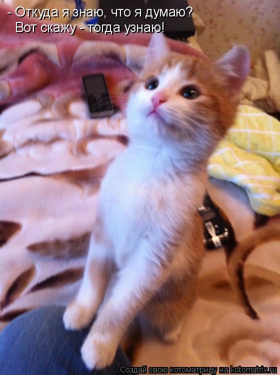Котоматрица: - Откуда я знаю, что я думаю? Вот скажу - тогда узнаю!