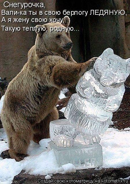 Котоматрица: Снегурочка, Вали-ка ты в свою берлогу ЛЕДЯНУЮ, А я жену свою хочу, Такую теплую, родную...