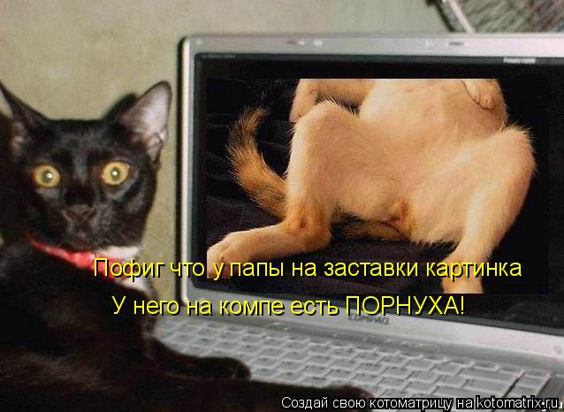 Котоматрица: Пофиг что у папы на заставки картинка  У него на компе есть ПОРНУХА!