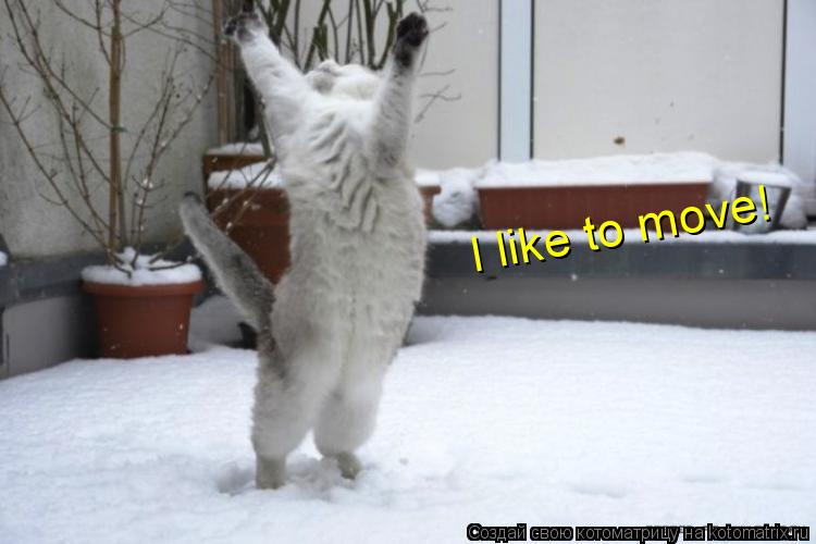 Котоматрица: I like to move!