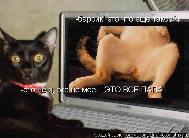 Котоматрица: -барсик! это что еще такое?! -это не я, это не мое... ЭТО ВСЕ ПАПА!