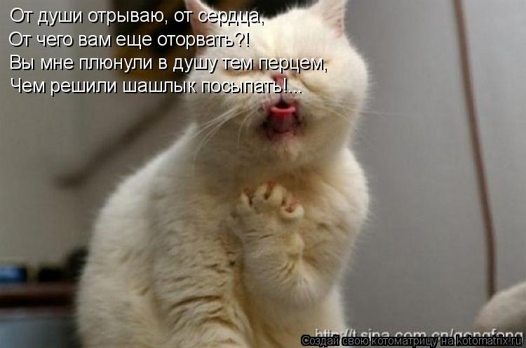 Котоматрица: От души отрываю, от сердца, От чего вам еще оторвать?! Вы мне плюнули в душу тем перцем, Чем решили шашлык посыпать!...