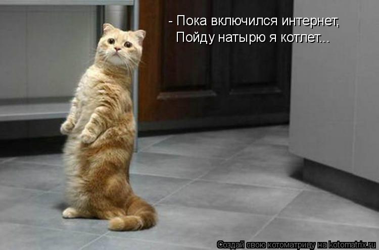 Котоматрица: - Пока включился интернет, Пойду натырю я котлет...