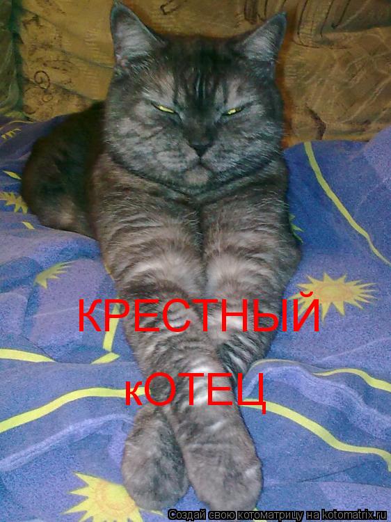 Котоматрица: КРЕСТНЫЙ кОТЕЦ