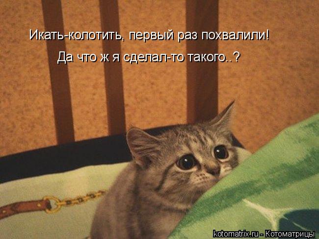 Котоматрица: Икать-колотить, первый раз похвалили! Да что ж я сделал-то такого..?