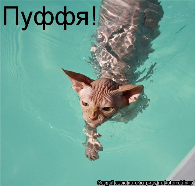 Котоматрица: Пуффя!