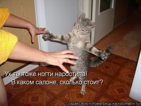 Котоматрица: Ух ты тоже ногти наростила! В каком салоне, сколько стоит?