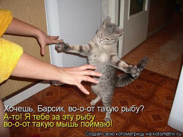 Котоматрица: Хочешь, Барсик, во-о-от такую рыбу? А-то! Я тебе за эту рыбу  во-о-от такую мышь поймаю!