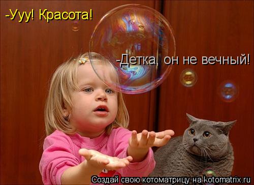 Котоматрица: -Ууу! Красота! -Детка, он не вечный!