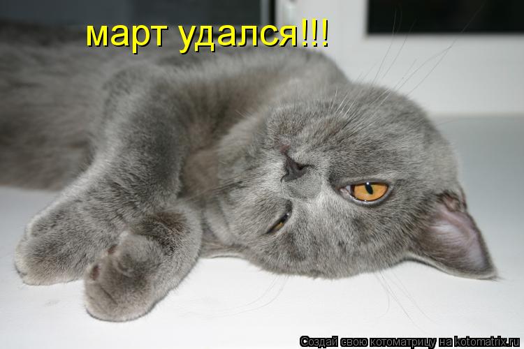 Котоматрица: март удался!!!