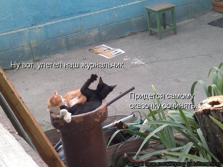 Котоматрица: Ну вот, улетел наш журнальчик. Придется самому  сказочку сочинять...
