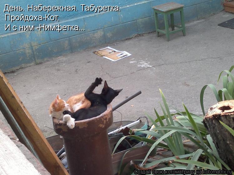 Котоматрица: День. Набережная. Табуретка. Пройдоха-Кот, И с ним -Нимфетка...