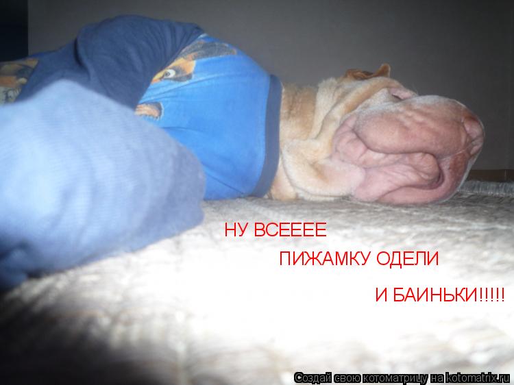 Котоматрица: НУ ВСЕЕЕЕ ПИЖАМКУ ОДЕЛИ И БАИНЬКИ!!!!!
