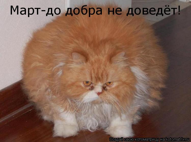 Котоматрица: Март-до добра не доведёт!