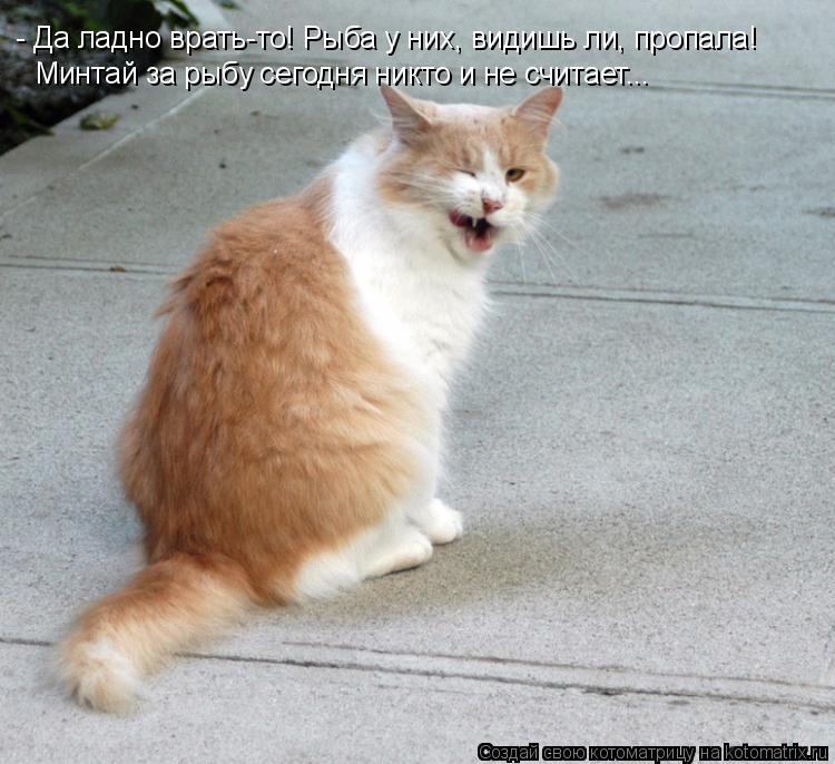 - Да ладно врать-то! Рыба у них, видишь ли, пропала! Минтай за рыбу сегодня никто и не считает...... Котоматрица: - Да ладно врать-то! Рыба у них, видишь ли, пропала! Минтай за рыбу сегодня никто и не считает...