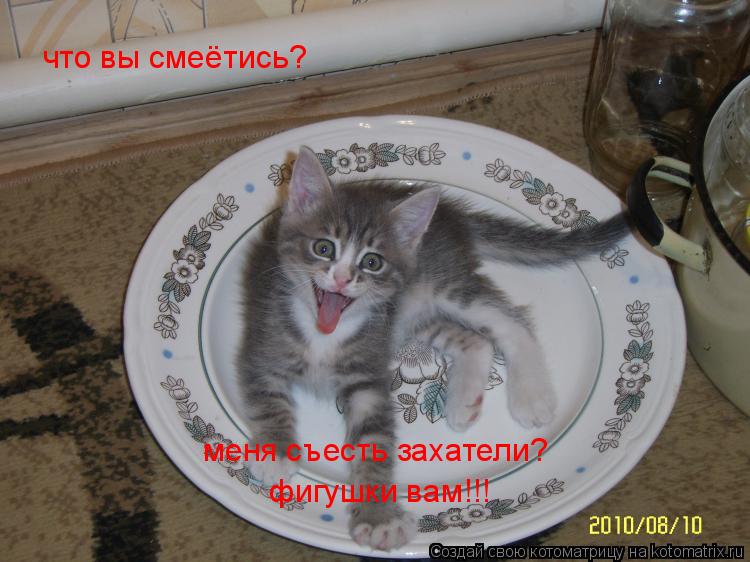 Котоматрица: что вы смеётись? меня съесть захатели? фигушки вам!!!