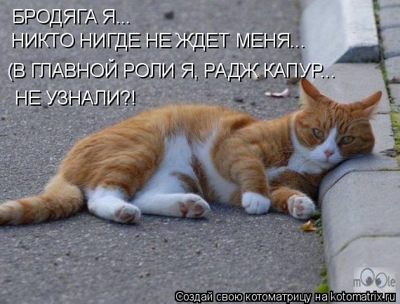 Котоматрица: БРОДЯГА Я... НИКТО НИГДЕ НЕ ЖДЕТ МЕНЯ... (В ГЛАВНОЙ РОЛИ Я, РАДЖ КАПУР... НЕ УЗНАЛИ?!