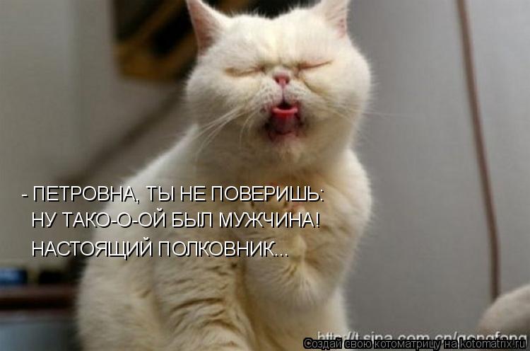 Котоматрица: - ПЕТРОВНА, ТЫ НЕ ПОВЕРИШЬ: НУ ТАКО-О-ОЙ БЫЛ МУЖЧИНА! НАСТОЯЩИЙ ПОЛКОВНИК...