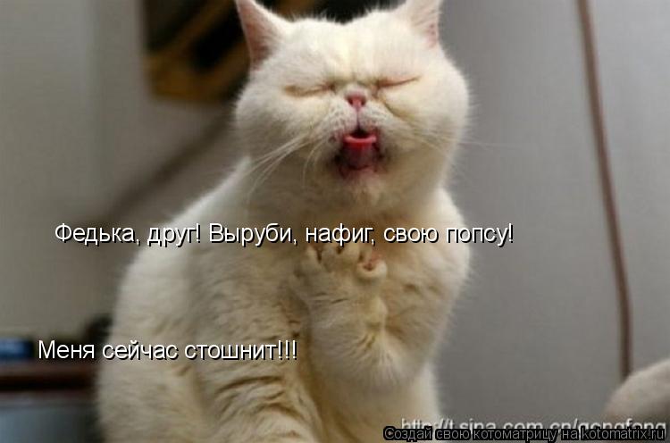 Котоматрица: Федька, друг! Выруби, нафиг, свою попсу! Меня сейчас стошнит!!!