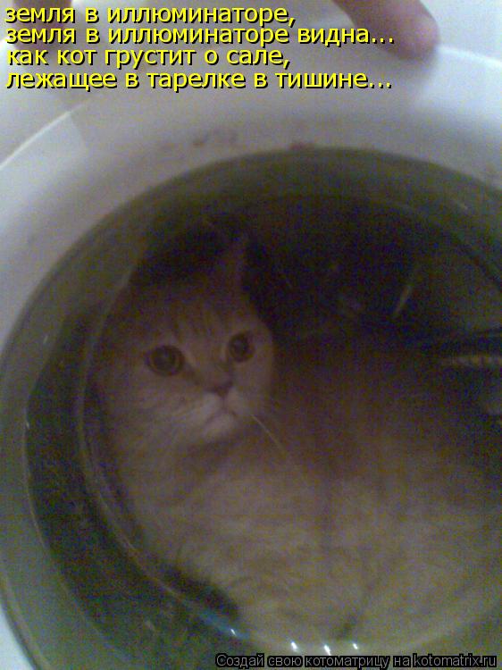 Котоматрица: земля в иллюминаторе, земля в иллюминаторе видна... как кот грустит о сале, лежащее в тарелке в тишине...