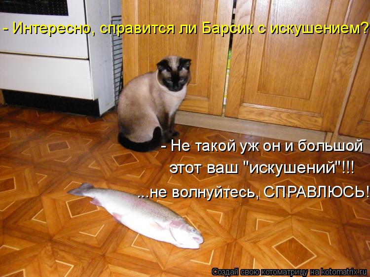 - Интересно, справится ли Барсик с искушением?.. - Не такой уж он и большой этот ваш "искушений"!!! .... Котоматрица: - Интересно, справится ли Барсик с искушением?.. - Не такой уж он и большой этот ваш "искушений"!!! ...не волнуйтесь, СПРАВЛЮСЬ!