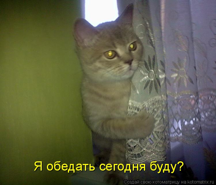 Котоматрица: Я обедать сегодня буду?